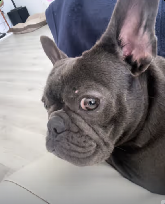 This is what competition for attention looks like !!!